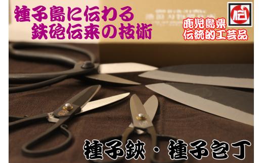 種子鋏 （たねばさみ）５寸＋万能包丁（小）　NFN162 【1225pt】