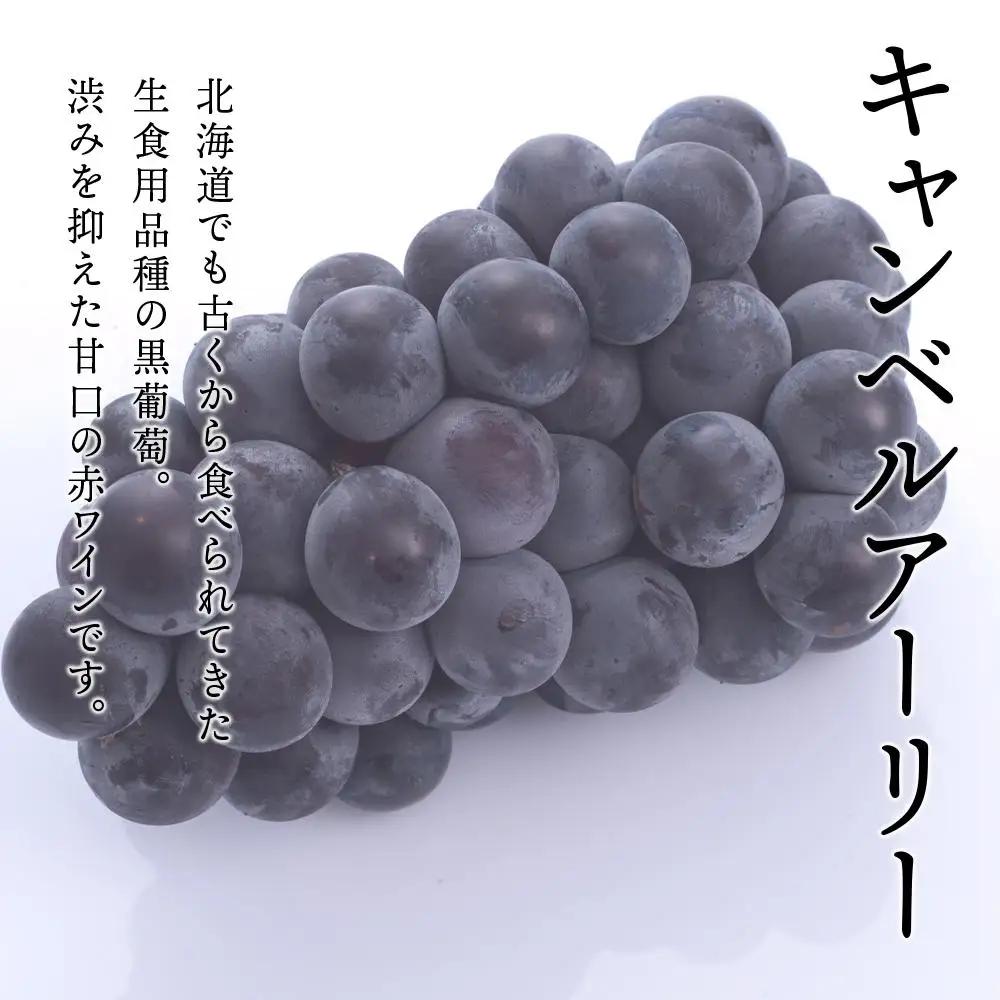 	キャンベルアーリースパークリング720ml＜余市ワイン＞_Y020-0401