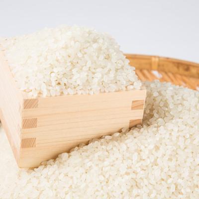 ふるさと納税 旭川市 令和7年産無洗米北海道産特Aななつぼし5kg こめ お米  精米 白米 |  | 02