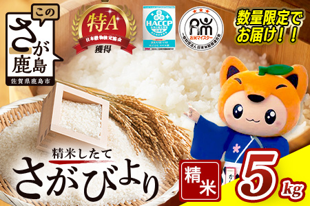 さがびより 令和7年産 佐賀県産 ５kg 白米【16年連続 特A評価】C-174