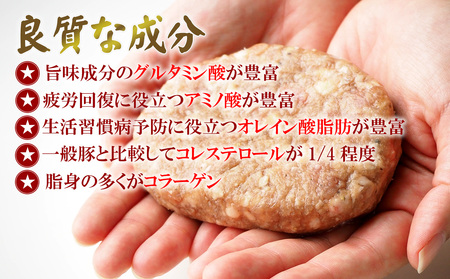 ハンバーグ やんばる島豚あぐーハンバーグ（150g×10個）