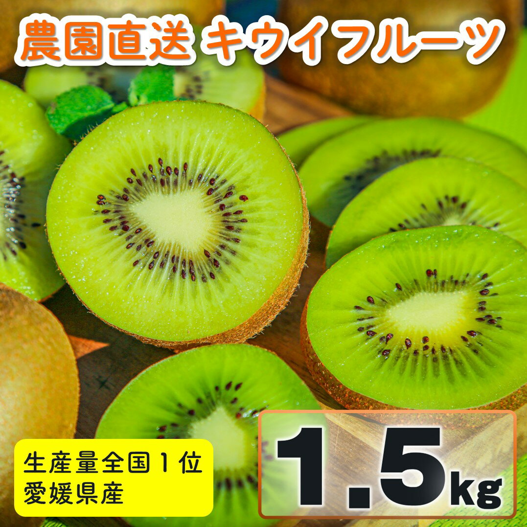 【ふるさと納税】 家庭用 キウイフルーツ ヘイワード 約1.5kg 愛媛県産 【1月上旬~2 月下旬発送予定】| 先行予約 キウイフルーツ ヘイワード 農園直送 家庭用 フルーツ キウイ 果物 グリーンキウイ 愛媛県 松山市 おすすめ 人気