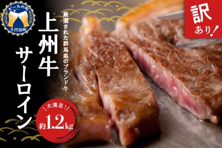 【訳あり】牛肉 サーロイン 【上州牛】 約1.2kg (約200g×6枚) 群馬県 千代田町 ※沖縄・離島地域へのお届け不可 国産 牛肉 ステーキ キャンプ アウトドア バーべキュー BBQ 冷凍 送料無料