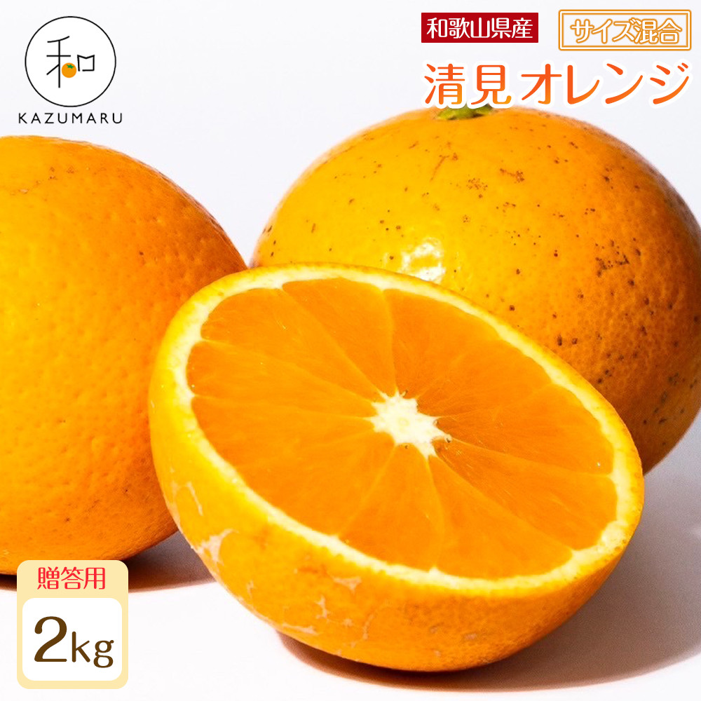 贈答用 森本農園の手選別 厳選清見オレンジ 約2kg 和歌山県産 サイズ混合 ［北海道・沖縄・離島配送不可］［2027年2月上旬から順次発送予定］［RN88］DJ90088