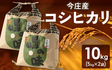 令和7年産新米 今庄産コシヒカリ 10kg 5kg×2 | こしひかり 精米 福井県 南越前町