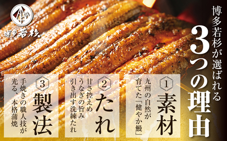 U61-139 健やか鰻 国産うなぎ蒲焼（無頭）6尾（計840g以上） 【wksg01】 【fukuchi00】 うなぎ うなぎ うなぎ うなぎ うなぎ