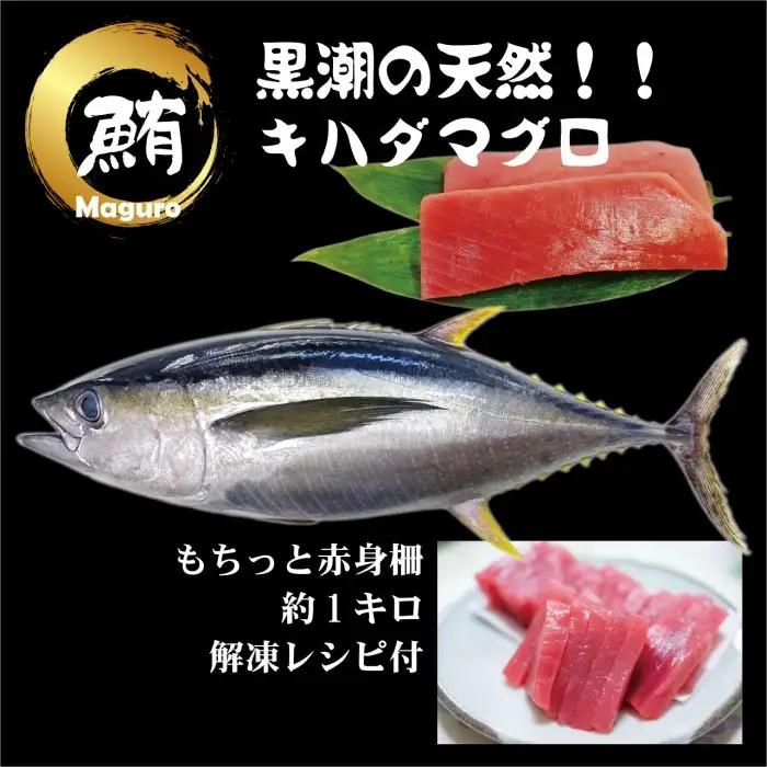 天然 キハダマグロ 赤身 柵 約1kg (2-4柵) 刺身 海鮮 簡単調理 大容量  鮮度抜群