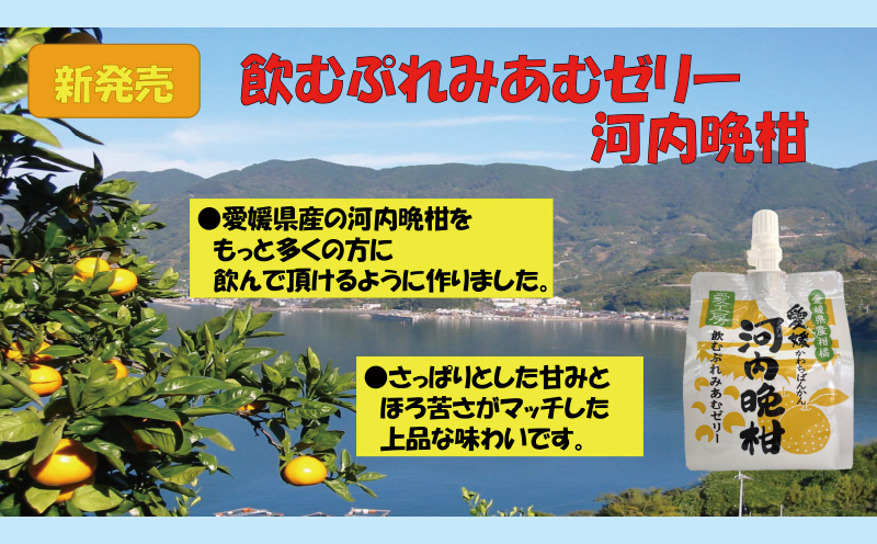 ＼10営業日以内発送／ みかんゼリー 飲むぷれみあむ ゼリー 河内晩柑 180g × 30個 愛工房 飲むゼリー みかん mikan 蜜柑 オレンジ 柑橘 フルーツゼリー 果物ゼリー 果物 フルーツ 