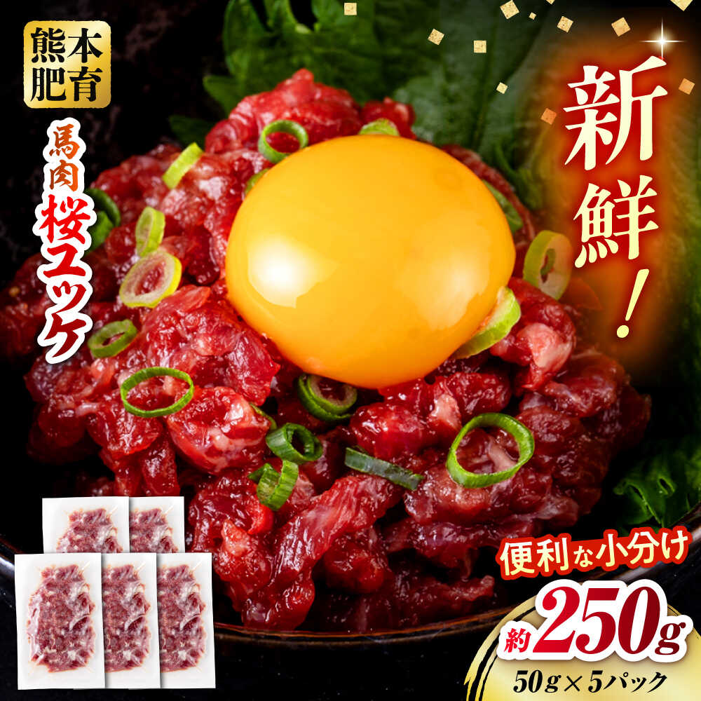 【ふるさと納税】【令和8年熊本地震復興支援】馬肉 さくらユッケ 50g×5パック 計250g お肉 桜ユッケ 赤身 生食 小分け 冷凍【五右衛門フーズ熊本店】[AYBV027]