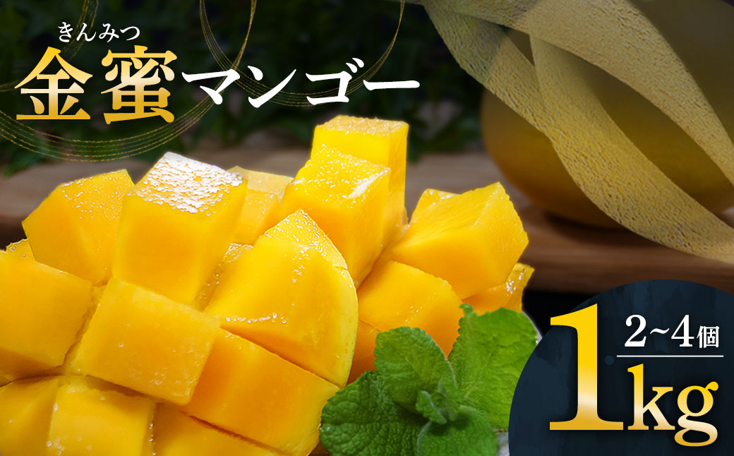 レア品種 完熟金蜜マンゴー１kg（2個～4個入り） 南国フルーツ 金蜜 きんみつ種 糖度20度以上 高糖度 果物 果汁 濃厚 ジューシー デザート ギフト プレゼント 送料無料【R00627】