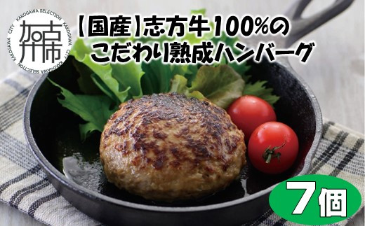 
                  【国産】志方牛100%のこだわり熟成ハンバーグ150g×7個《 ハンバーグ 国産 牛肉 100% 牛 こだわり セット 冷凍 肉 惣菜 お取り寄せ グルメ おかず ギフト 送料無料 》【2601I05907】
                