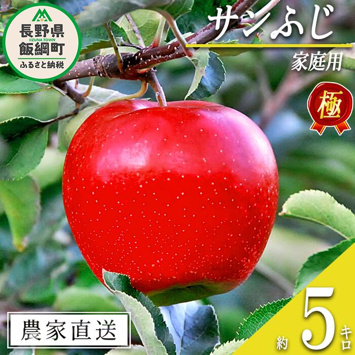 【ふるさと納税】 りんご 極み サンふじ 家庭用 5kg こだわりの土作り 松澤農園 沖縄県への配送不可 令和7年度収穫分 長野県 飯綱町 〔 信州 フルーツ 果物 リンゴ 林檎 長野 17000円 予約 農家直送 〕発送時期：2025年11月下旬〜2026年1月下旬 {**}