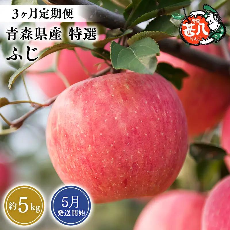 りんご 【2027年5月発送開始】青森県産 ふじ 特選 約5kg 3ヶ月定期便【hi-0058-185】