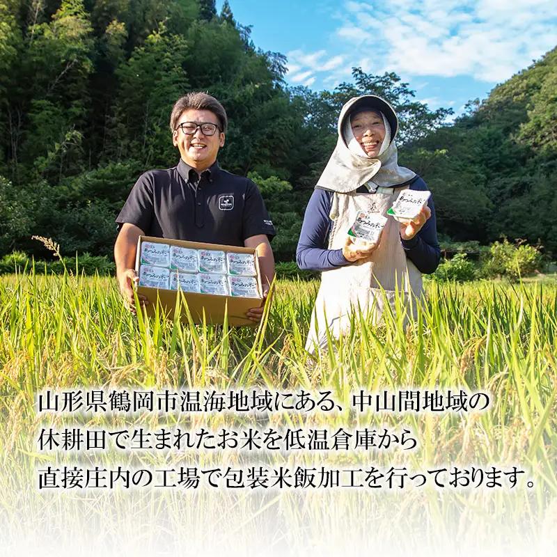 あったかご飯・あつみの米パックライス（180ｇ×24P）　山形県鶴岡市　K-830　| はえぬき 米 お米 コメ ライス ごはん ご飯 パックご飯 パックライス 白飯 白米 食品 お手軽 レンジ 一人