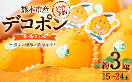 デコポン 約3kg （15～24玉） 果物 くだもの フルーツ 柑橘 【2026年2月下旬～3月下旬迄順次発送予定】