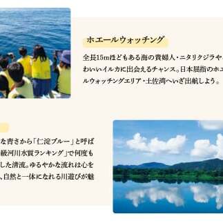 土佐市への寄付 (返礼品はありません) 高知県 土佐市 返礼品なし 1口 1000円  応援 寄付【土佐市役所】 [BQCD001]_イメージ3