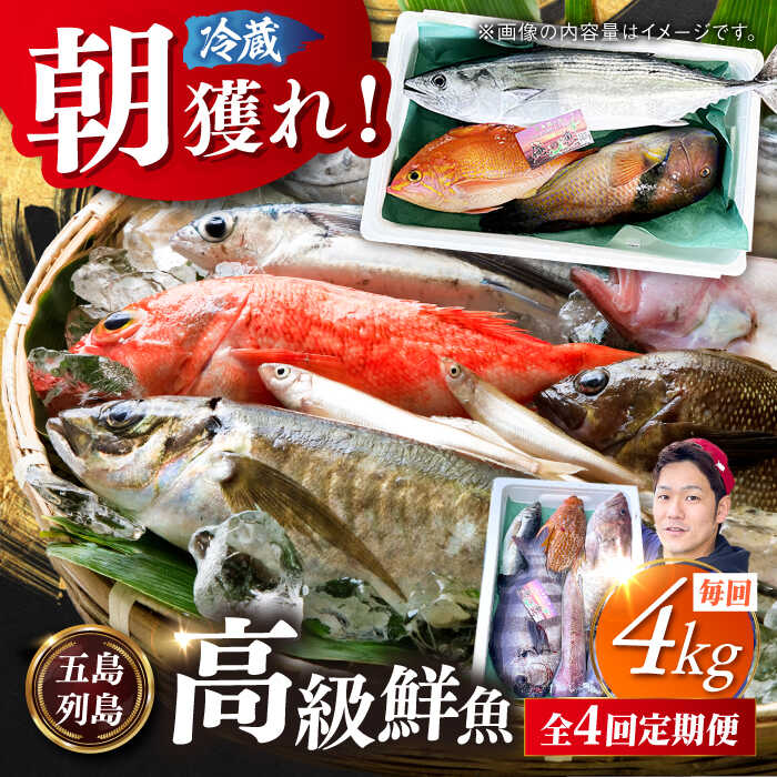 【ふるさと納税】【全4回定期便】【五島列島直送】朝獲れ高級鮮魚セット4kg 五島市 / 鯛福丸水産[PDP006] 魚 鮮魚 セット 海鮮 直送 さかな 詰合せ 冷蔵 定期