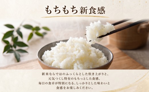 《令和8年産 新米 》  元気つくし 10kg 白米   ふるさと納税限定 ふるさと納税限定品 定期便 kome 精米 お米 米 白米 食品 ご飯 飯 福岡県産 防災 生活応援 九州 福岡県 川崎町
