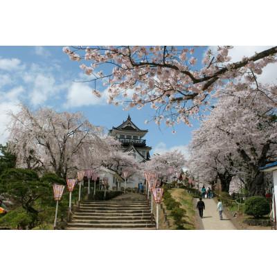 ふるさと納税 横手市 秋田県産自家採集　はちみつ　さくら蜜　1200g |  | 01