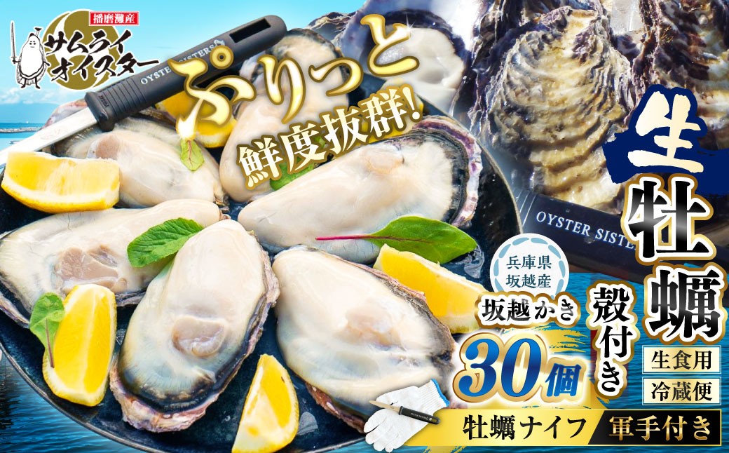 
                  坂越かき 殻付き 30個（牡蠣ナイフ・軍手付き）【2027年1月以降発送予定】／ 牡蠣 かき カキ オイスター サムライオイスター 生牡蠣 魚介 貝 海産物 生食 ギフト 兵庫県 赤穂市
                