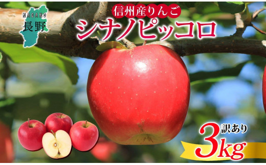 
長野県産 りんご シナノピッコロ 訳あり 約3kg リンゴ 旬 フルーツ 訳アリ 林檎 果物 規格外 自家用 産地直送 農園 産直 お取り寄せ もぎたて 採れたて 送料無料 堀田農園 信州 大町市
