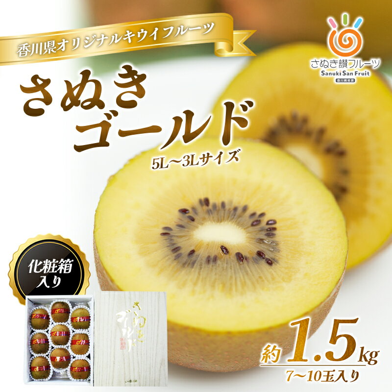 【ふるさと納税】さぬき ゴールドキウイ 1.5kg 化粧箱入り ゴールデンキウイ キウイフルーツ キウイ フルーツ 果物 くだもの 果実 旬の果物 旬のフルーツ 香川 香川県 東かがわ市　お届け：10月中旬～12月31日