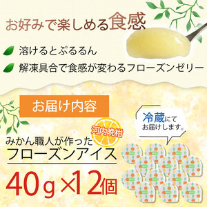 【みかん職人が作った フローズン ゼリー 】 40g×1種 計12個 河内晩柑 みかん 人気 デザート スイーツ  シャーベット 愛南ゴールド 美生柑 柑橘 みかん職人武田屋 ふるさと納税 愛媛県 愛