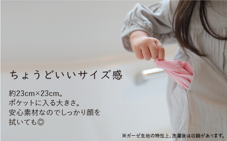 三河木綿 3重織り ガーゼハンカチ 10枚セット_【G0309】
