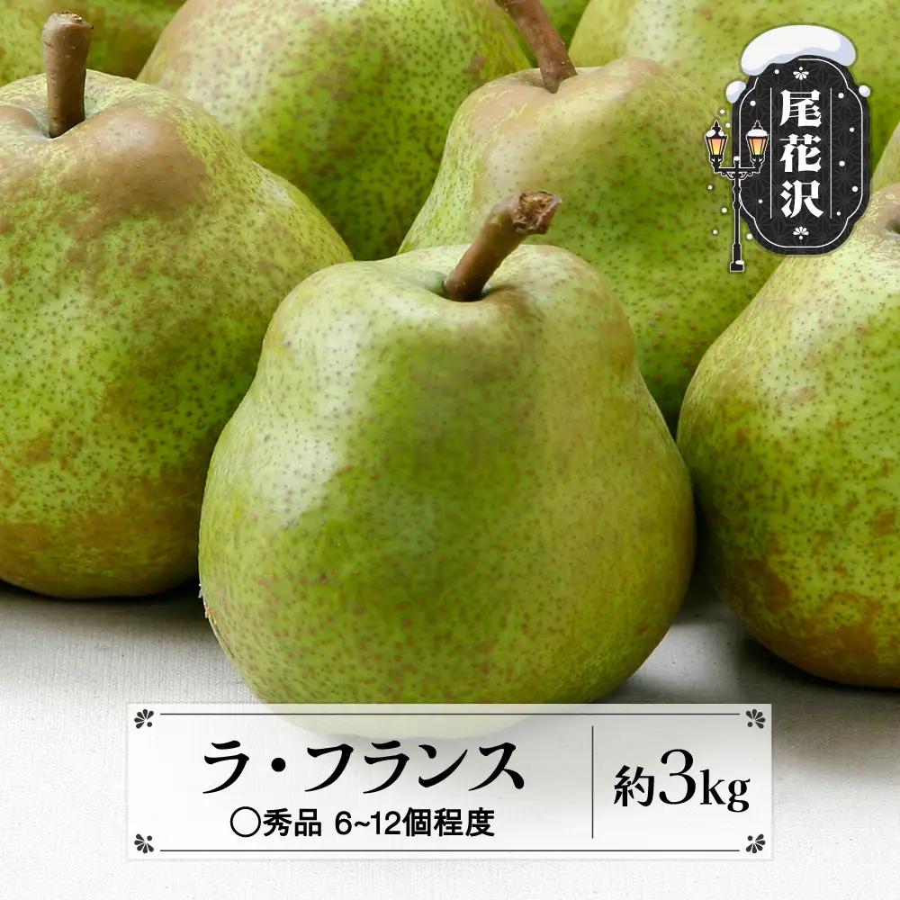 先行予約 ラ・フランス ◯秀品 約3kg 令和8年産 2026年産 佐竹物産 sb-lamsx3