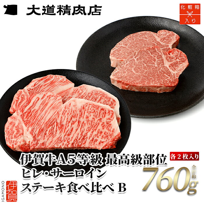 【ふるさと納税】 伊賀牛 A5ヒレ・サーロイン 食べ比べステーキセットB 総合計約760g【最高級部位】
