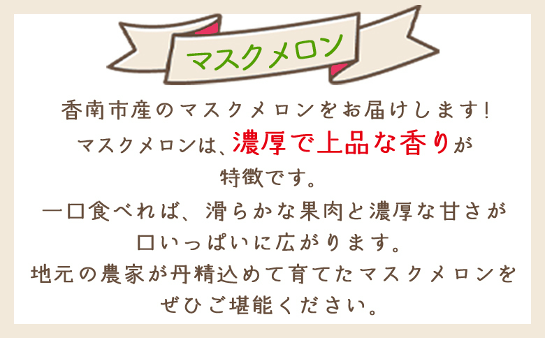 マスクメロン 2玉 家庭用 - 国産 メロン 果物 フルーツ 青果 濃厚 デザート 訳あり 訳アリ ご家庭用 不揃い 傷 やすらぎ市 高知県 香南市 常温 yr-0089