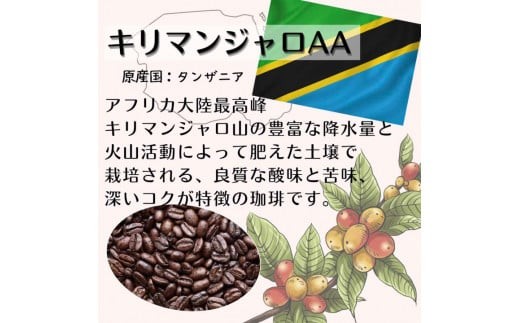 【定期便】自家焙煎 人気珈琲豆 3種セット（6か月）（挽き） 豆の状態：挽き