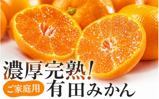 
                  【選べる配送月】有田育ちの完熟有田みかん 家庭用 サイズ混合(2S～2L)　約10.2kg(10kg+200g)【9～12月発送から選べます】【ard197F】
                