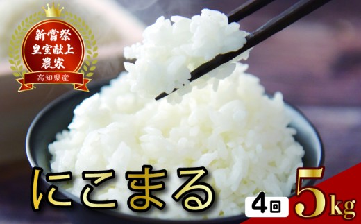 令和7年産 にこまる 白米 4ヵ月連続 定期便 5kg × 4回 20kg