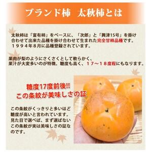 訳あり 太秋柿  約3kg【2025年10月下旬-11月下旬発送予定】(益城町)【1650957】