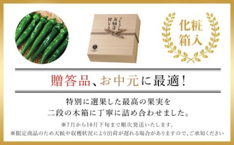 ＜7月発送開始！＞ プレミアム万願寺甘とう　１６本入り　木箱入り 【2025年発送分】 / ふるさと納税 京野菜 万願寺 甘とう とうがらし 大型 肉厚 甘い 万願寺とうがらし 万願寺唐辛子 京都府 