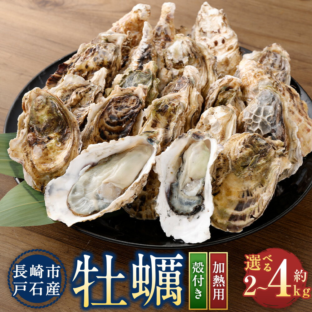 【ふるさと納税】＜選べる内容量＞【指定日時必須】戸石町産 殻付き牡蠣 加熱用 計約2kg（約20個） / 計約4kg（約40個） 真牡蠣 牡蠣 カキ 養殖 魚貝類 水産物 海の幸 料理 長崎県産 国産 九州 長崎県 長崎市 送料無料 【2026年12月上旬～2027年3月下旬発送予定】