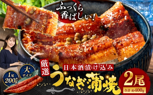 うなぎ蒲焼 200g×2尾セット 職人 手焼き 真空 冷凍 北海道 ウナギ 鰻 かばやき