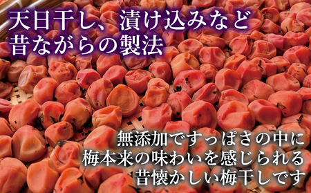 昔ながらの梅干し 200g×3パック 無添加 梅干し | 田舎の梅干し すっぱい 訳あり 梅干 うめぼし 保存料無添加 着色料無添加 福島県 新地町 送料無料 すっぱい 熱中症対策 お試し お取り寄せ