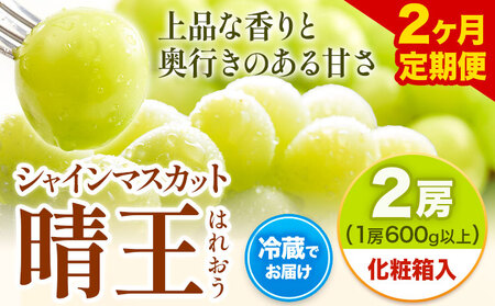 【2025年先行予約】【2ヶ月定期便】 シャインマスカット晴王 はれおう 2房入り(1房600g以上) 化粧箱入 株式会社山博(中本青果)《2025年8月・9月計2回出荷予定》 定期 計2回お届け 岡山県 浅口市 ぶどう マスカット 大粒 フルーツ 秀品 果物 ギフト 送料無料 【配送不可地域あり】
