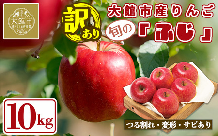 【数量限定・期間限定】陽気な母さんの【訳あり】りんご「ふじ」　10kg　95P3403