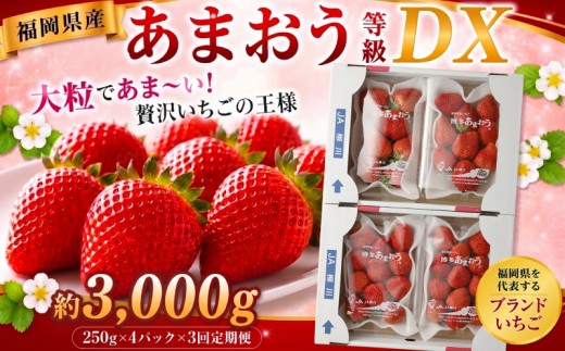 【3回定期便】【先行予約】大粒 あまおう 等級DX 総重量 約3,000g いちご 苺 果物 フルーツ 【2027年1月上旬～3月下旬迄順次発送予定】