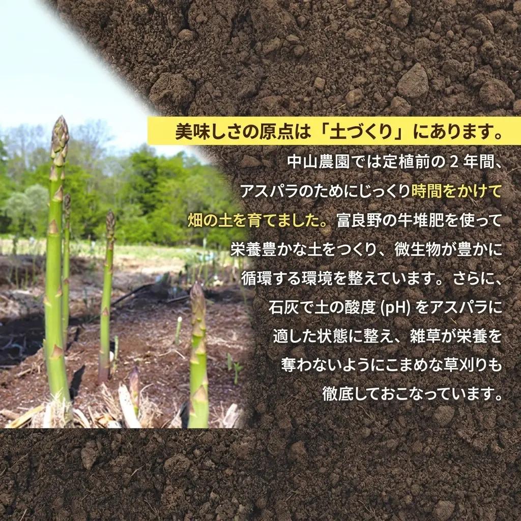野菜果物詰合せ 富良野産 アスパラ メロン 野菜 中山農園【定期便】