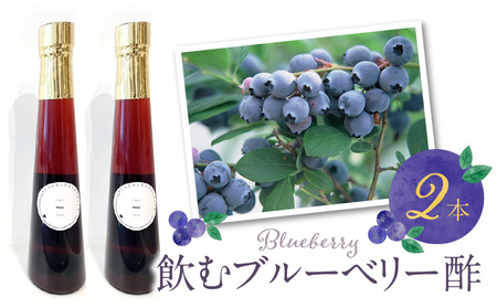 飲むブルーベリー酢　300ml×2本_お酢 ドリンク ブルーベリー 300ml 2本 飲むお酢 ブルーベリー酢 甘くて飲みやすい 希釈 3倍～5倍 果汁 アントシアニン 疲れ目予防 腸内環境改善 簡単 アレンジ 牛乳 炭酸 お酒 瓶 果実酒 お酢飲料 飲料 飲み物 健康 福岡県 久留米市 お取り寄せ 送料無料_Ex218