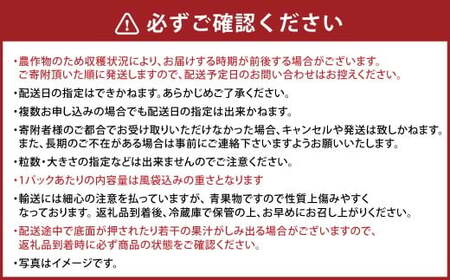 化粧箱入り ベリーツ 約540g 【2026年2月下旬-3月下旬発送】