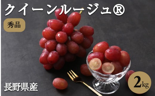 産地厳選! 長野県産 クイーンルージュ ® 秀品 約2kg〈2026年10月中旬～11月上旬発送〉| 果物 くだもの フルーツ ぶどう ブドウ 葡萄 クイーンルージュ® 種なし 長野県 信州 南信州 飯田市