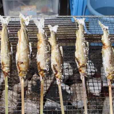ふるさと納税 津和野町 【CAS冷凍】スイカの香りと美味しさを閉じ込めた清流・高津川の天然鮎200g×3袋(約600g) |  | 03