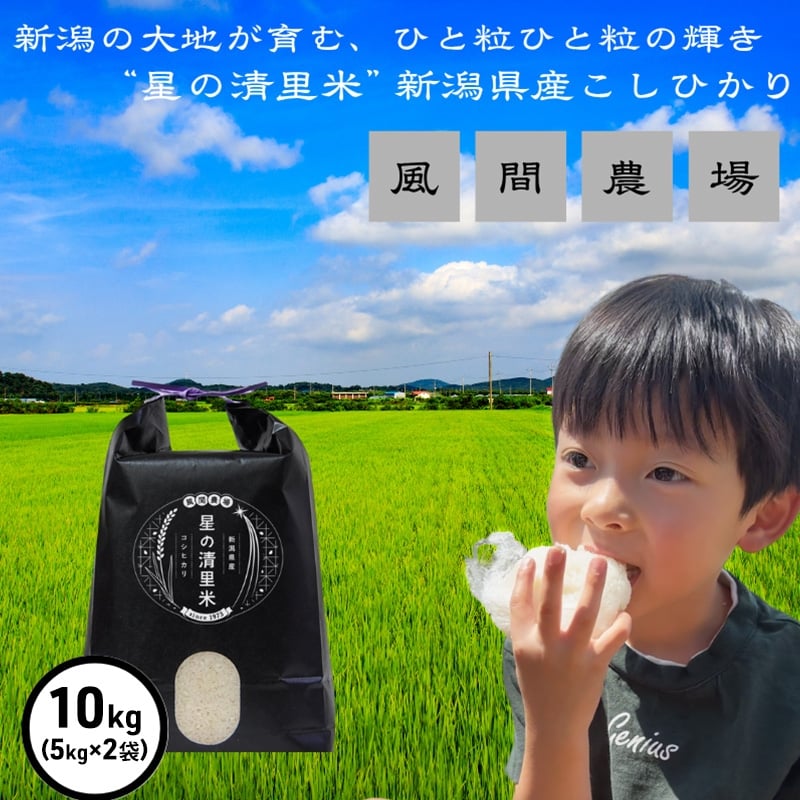 
            新米 令和7年 新潟県上越市産 従来 コシヒカリ 精米済10kg（5kg×2袋） 10キロ こしひかり お米 米 精米 送料無料
          