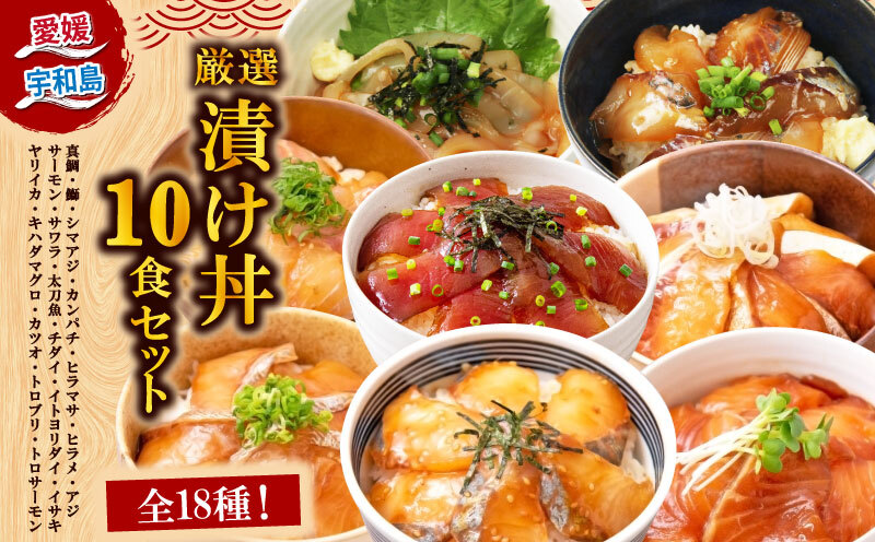 漬丼 厳選 活締め 全18種 お任せ 漬け丼 10食 セット 南予ビージョイ 真鯛 鰤 シマアジ カンパチ ヒラマサ ヒラメ アジ サーモン サワラ 太刀魚 チダイ イトヨリダイ イサキ ヤリイカ キ