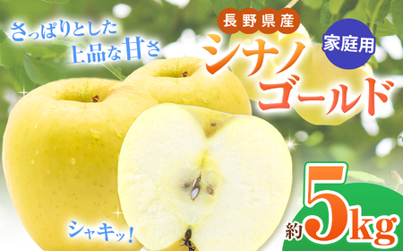*【2025年先行予約】家庭用 シナノゴールド 約5kg ｜ 北條農園 リンゴ りんご 林檎 果物 フルーツ 果実 果汁  シナノゴールド 家庭用 長野県 松川村 信州